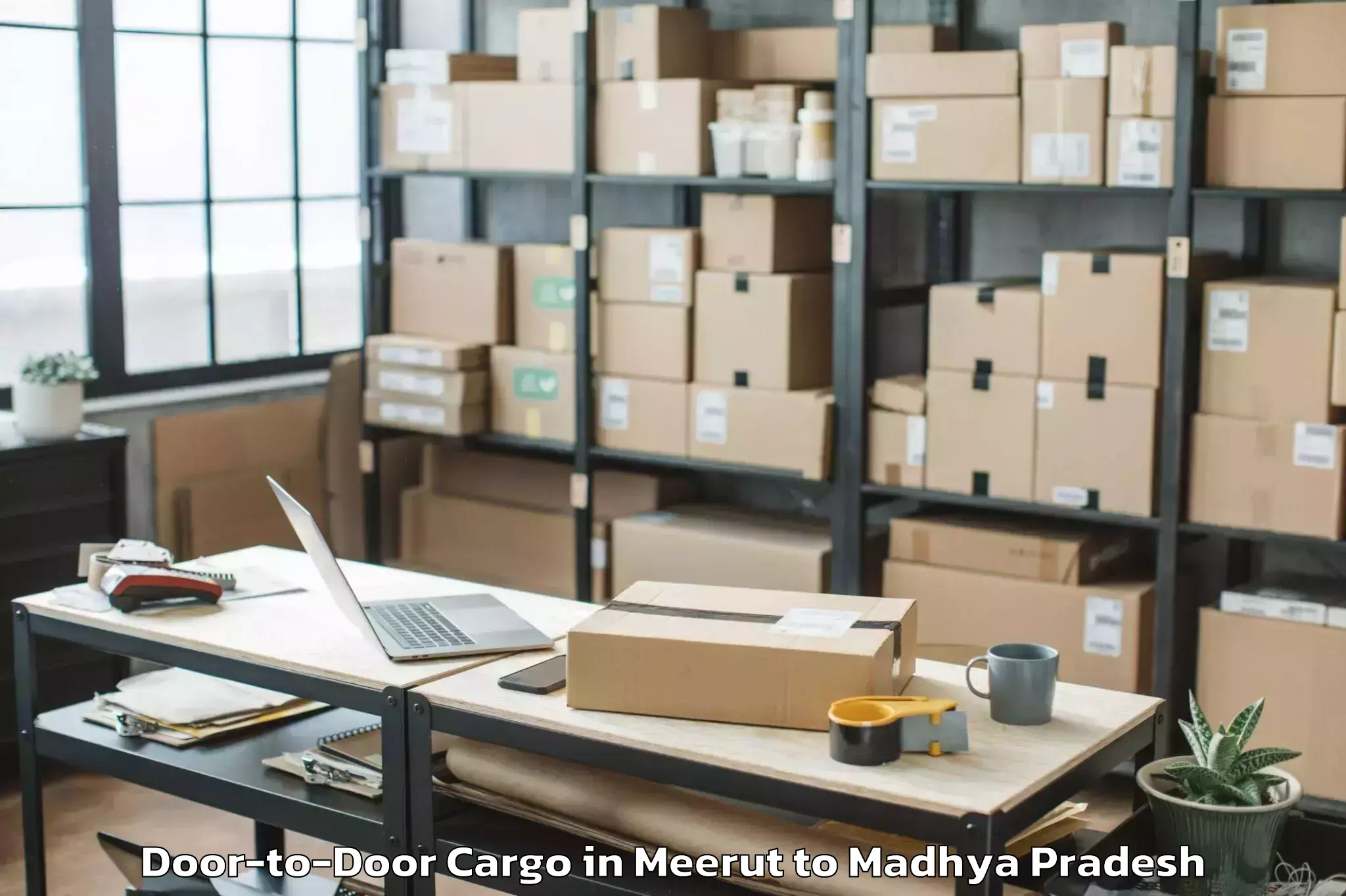 Reliable Meerut to Mauganj Door To Door Cargo